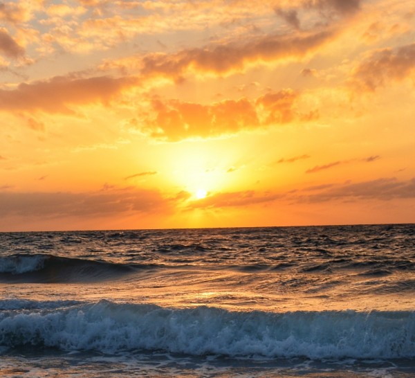 Event of Washington, D.C. Highlights